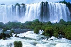 Una scena di cascate immerse nel verde, circondate da alberi e piante. L'acqua scorre dolcemente dando vita a un ambiente naturale tranquillo.