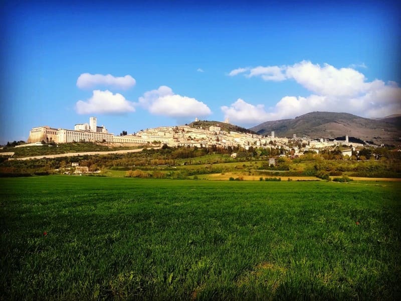 Scena di Assisi, circondata da campi verdi e un cielo sereno, che mette in risalto l'architettura del palazzo.