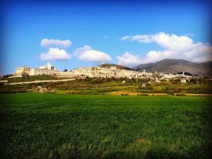 Scena di Assisi, circondata da campi verdi e un cielo sereno, che mette in risalto l'architettura del palazzo.