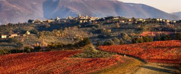 Scena di vigneti autunnali che si estendono su dolci colline, con un borgo visibile in lontananza.