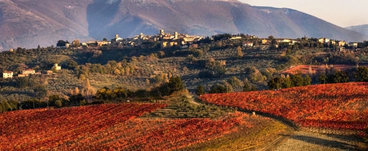 Scena di vigneti autunnali che si estendono su dolci colline, con un borgo visibile in lontananza.