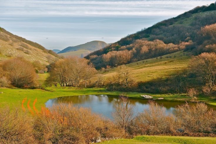 Un paesaggio tranquillo con montagne e alberi che si riflettono nell'acqua di uno stagno.