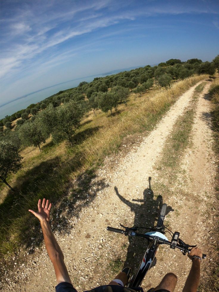 Un ciclista percorre un sentiero tra gli ulivi sotto il sole. La sua ombra si proietta sul terreno.
