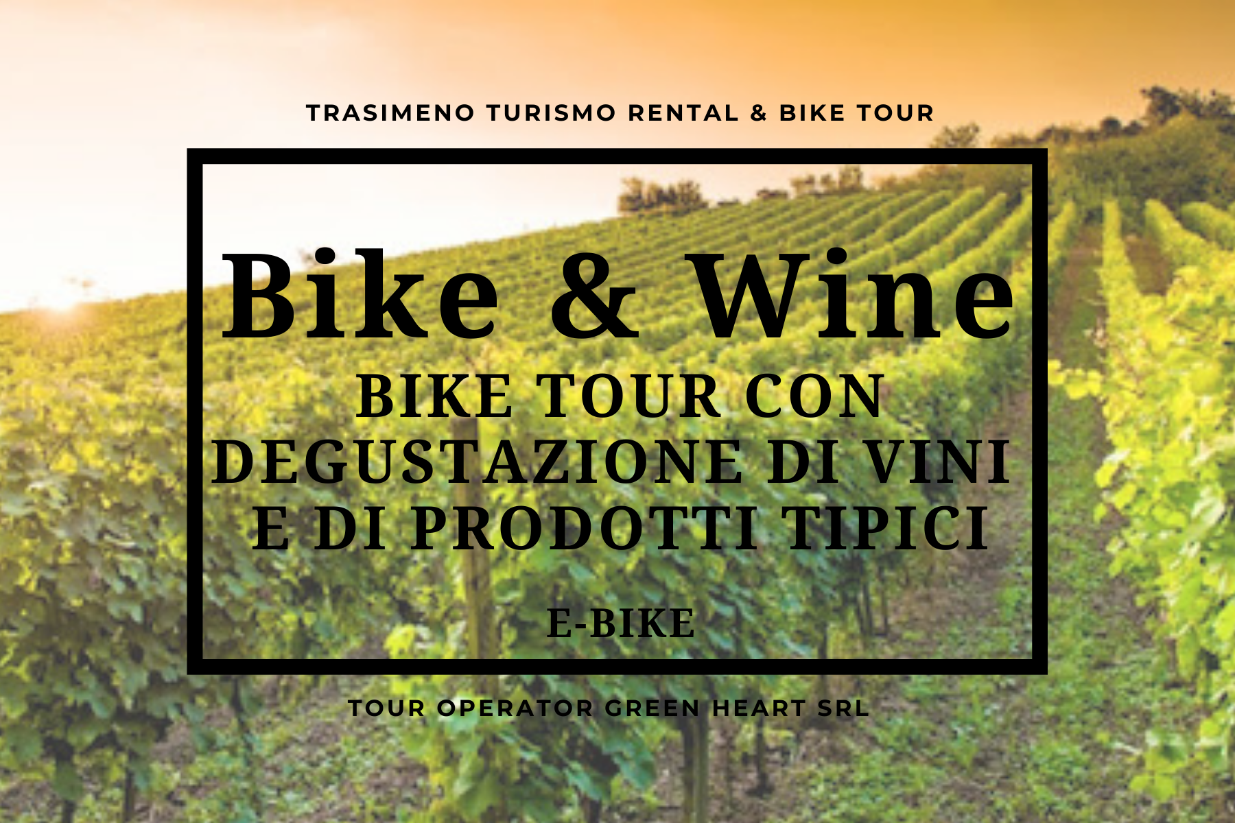Turismo esperienziale attraverso tour in bicicletta e assaggi di vini locali in Umbria.
