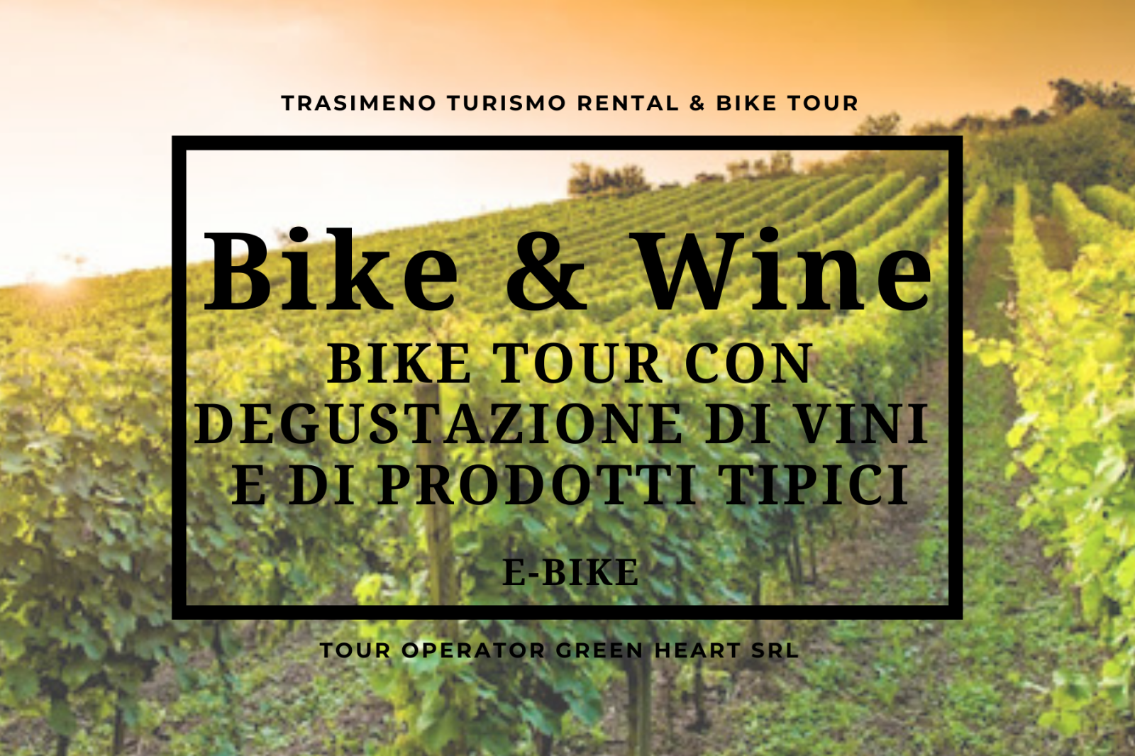Turismo esperienziale attraverso tour in bicicletta e assaggi di vini locali in Umbria.