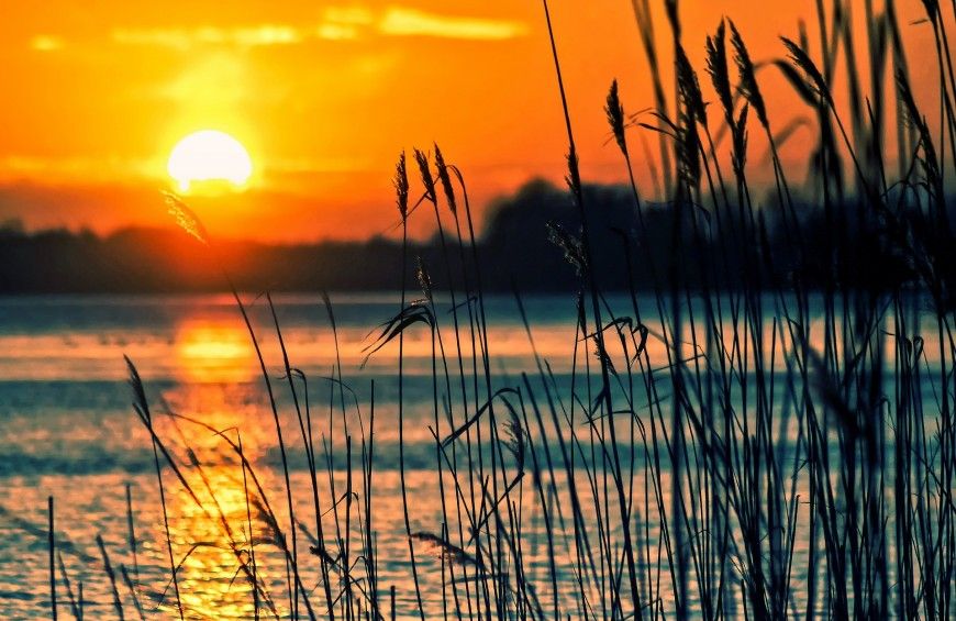 Un tranquillo tramonto sul lago, con canne palustri che emergono dolcemente dalla superficie dell'acqua.