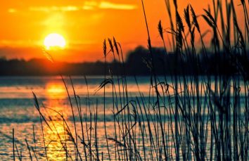 Un tranquillo tramonto sul lago, con canne palustri che emergono dolcemente dalla superficie dell'acqua.