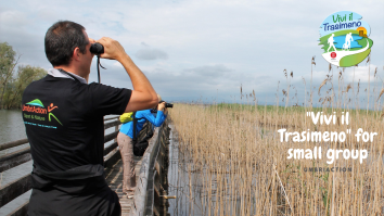 Vivi il Trasimeno - Un gruppo di escursionisti osserva il paesaggio al Lago Trasimeno, immersi nella natura circostante.