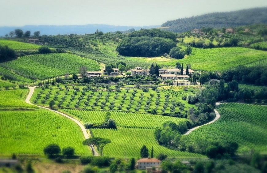 Un paesaggio collinare con vigneti, una residenza circondata da ulivi e alberi.