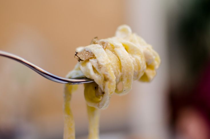 Una forchetta con un piatto di pasta all'uovo, guarnito con tartufo, rappresenta la cucina italiana.