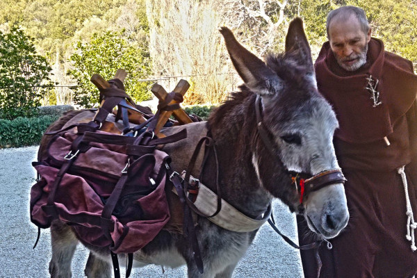 Un uomo vestito da frate con un asino carico di sacchi in un contesto naturale. L'immagine rappresenta un momento legato alla tradizione agricola.