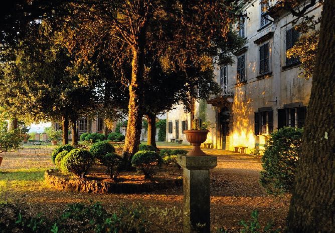 Giardino curato con alberi e cespugli, illuminato dai colori caldi del tramonto.