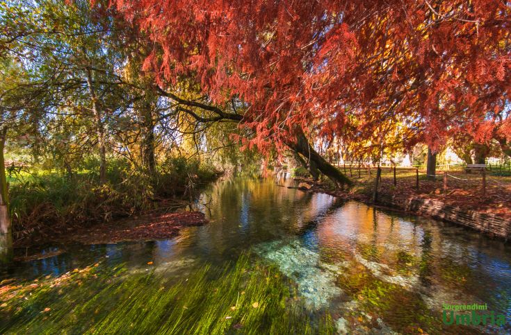 Una tranquilla superficie d'acqua circondata da foglie autunnali di colore rosso e giallo.