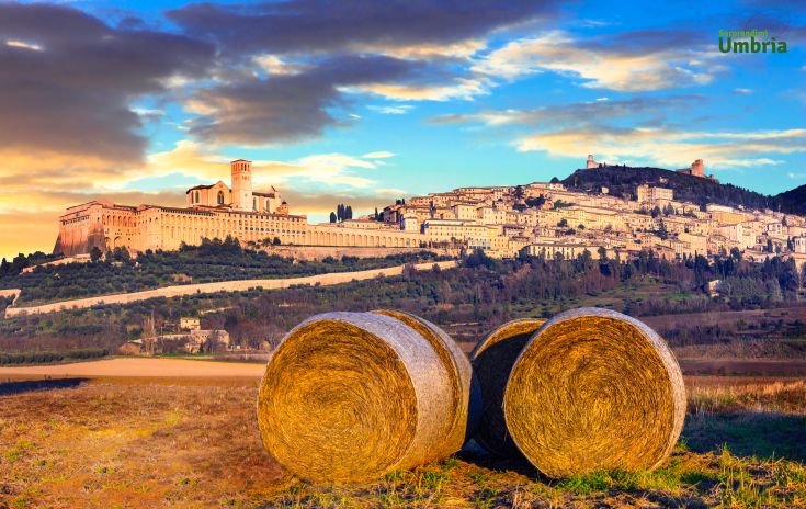 Scena di Assisi con balle di fieno in primo piano, circondata dai tipici colori della campagna umbra.