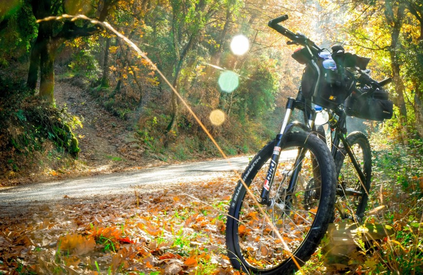 Una bicicletta su un sentiero circondato dalla natura autunnale, con foglie dorate e raggi di sole che filtrano tra gli alberi.