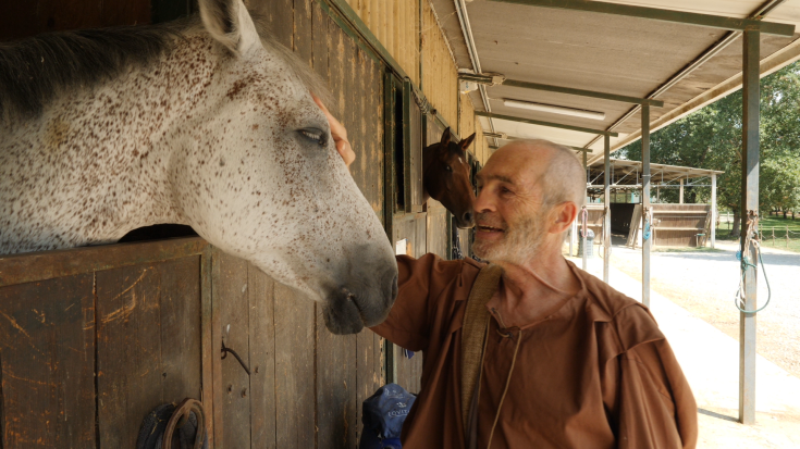 Un uomo felice interagisce con un cavallo in un recinto, mostrando affetto e connessione. La scena è tranquilla e naturale.