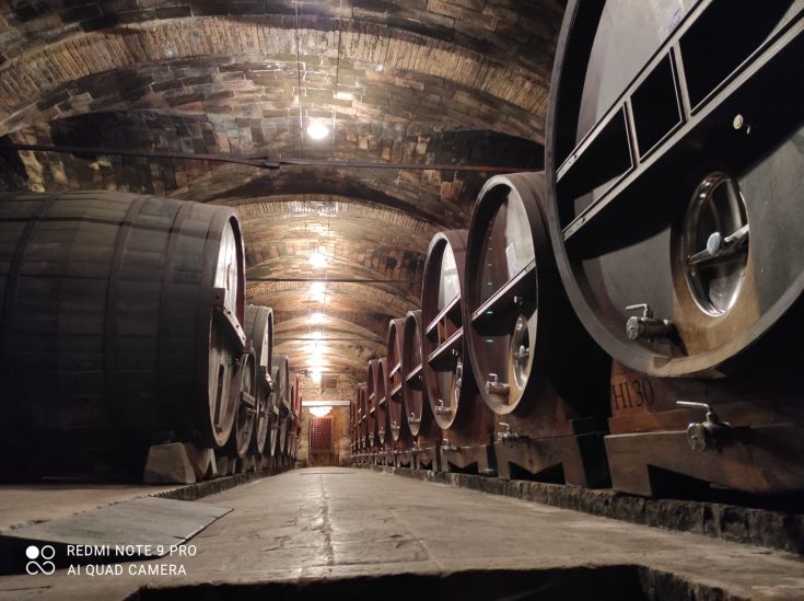 Una cantina con botti di legno disposte sotto un soffitto in mattoni. Ambiente accogliente e tranquillo.