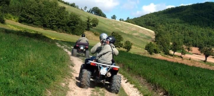 Un gruppo di persone guida degli ATV lungo un sentiero immerso nel verde, circondati dalla vegetazione.