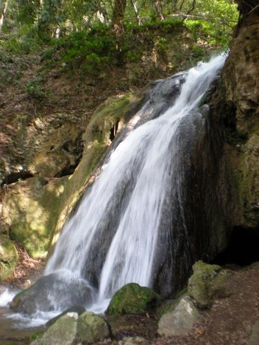 Una cascata che scorre dolcemente in un ambiente naturale verdeggiante.