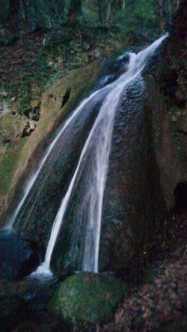 Una cascata che scorre dolcemente su una roccia, circondata da vegetazione verde e rigogliosa.
