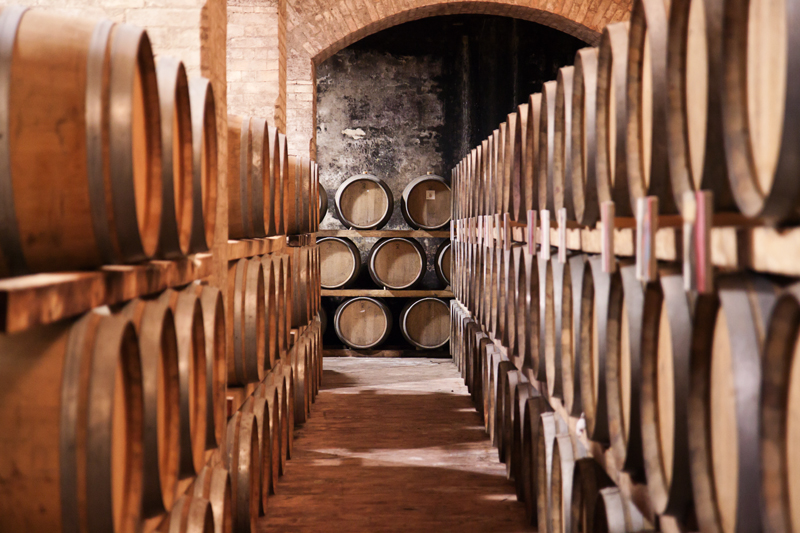 Titolo: Visiting the Scacciadiavoli Winery