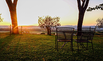 Titolo: Umbria Wine Package 