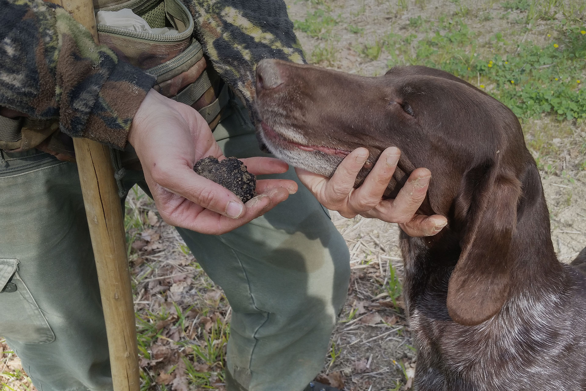 Titolo: Truffle hunting with lunch