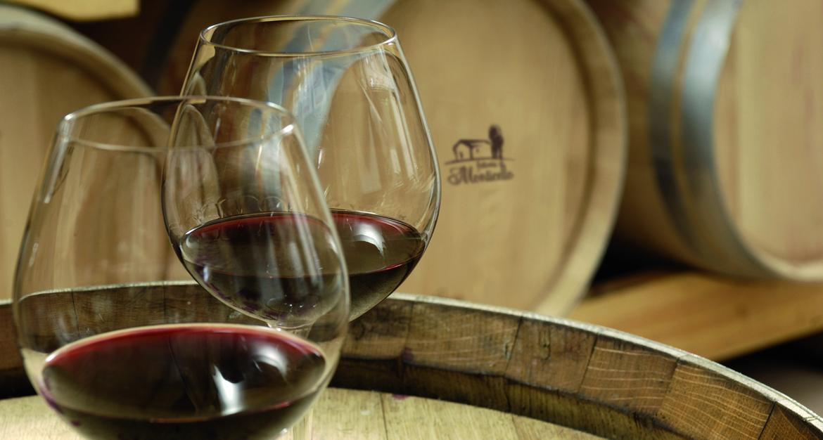 Titolo: Weinkellerbesichtigung und Weinverkostung - 5-Proben-Formel