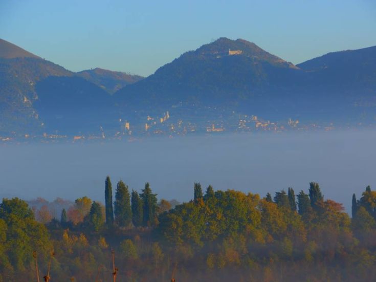 Paesaggio montano avvolto nella nebbia, con vegetazione colorata e alberi. Scena che rappresenta l'autunno.