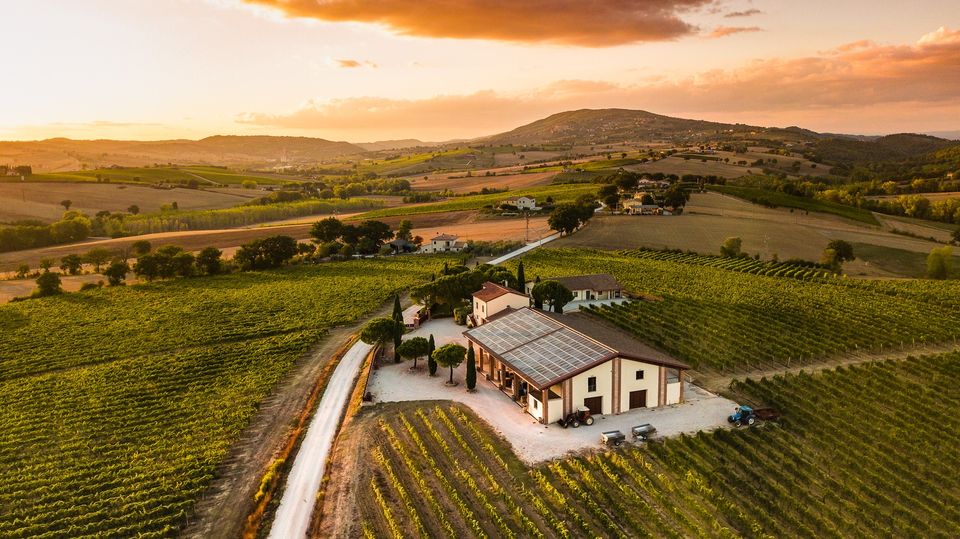 Titolo: Tasting of six wines 