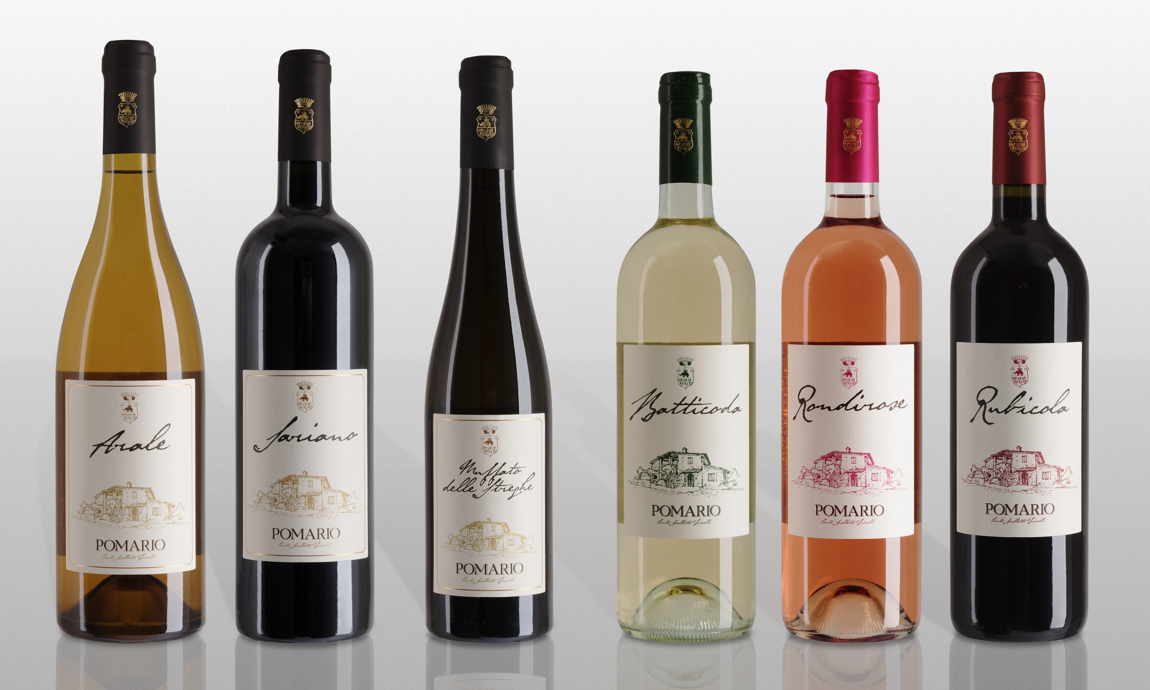 Titolo: Degustazione Semplice 