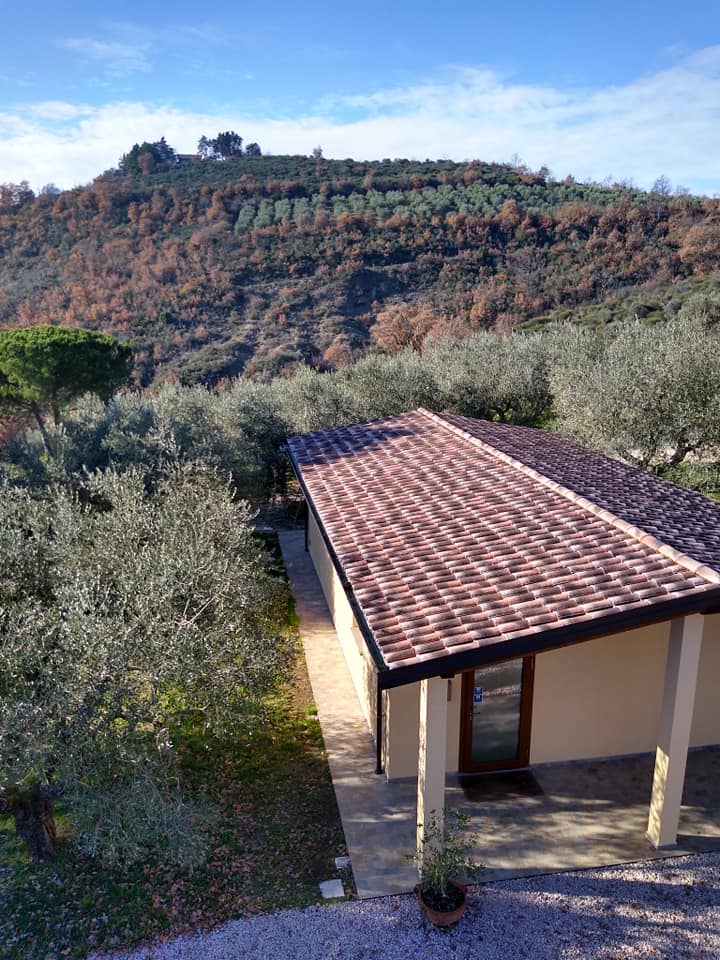 Titolo: Olive Oil Tour