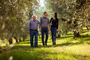 Titolo: Walk among the olive trees, tour of the oil mill and sensory tasting