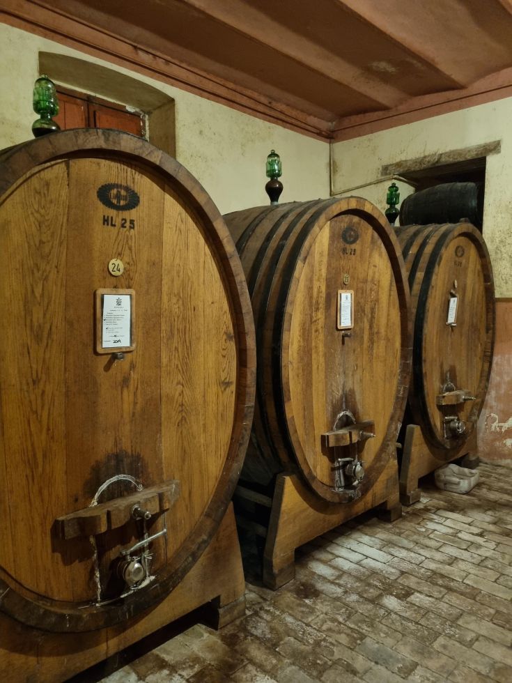 Tre botti di legno disposte affiancate, rappresentano la tradizione vinicola. Luci verdi decorano lo spazio.