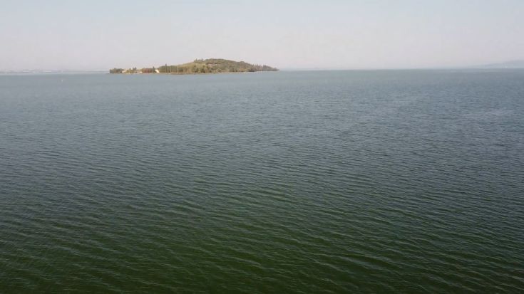 Un'isola tranquilla circondata da acque calme, che offre un'atmosfera serena e naturale.