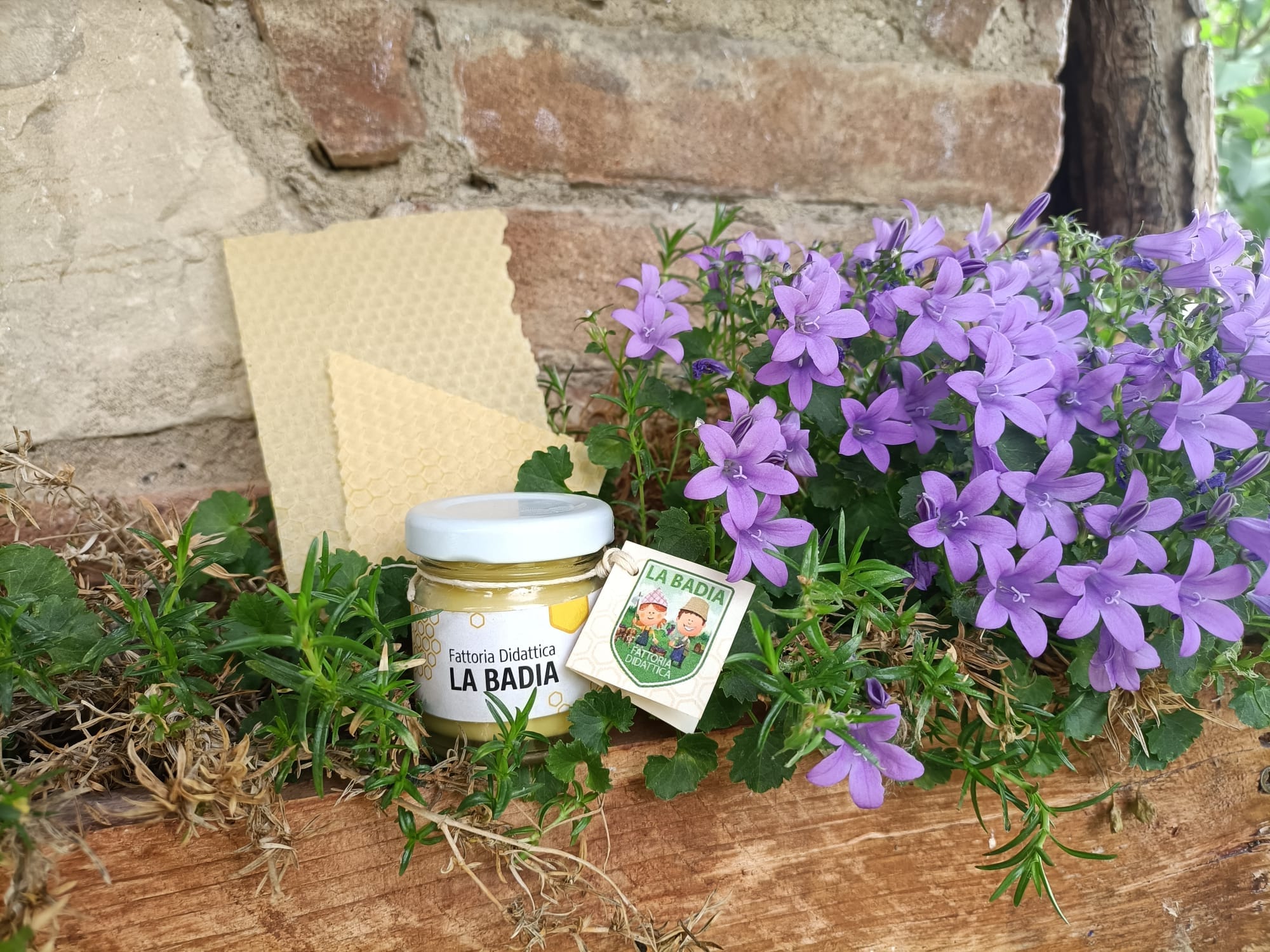 Titolo: Life as a bee