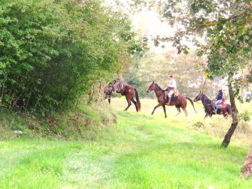 Titolo: HORSEBACK RIDING WITH LUNCH