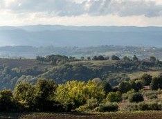 Scena suggestiva dell'Umbria, regione italiana rinomata per i suoi paesaggi, cultura e tradizioni culinarie.