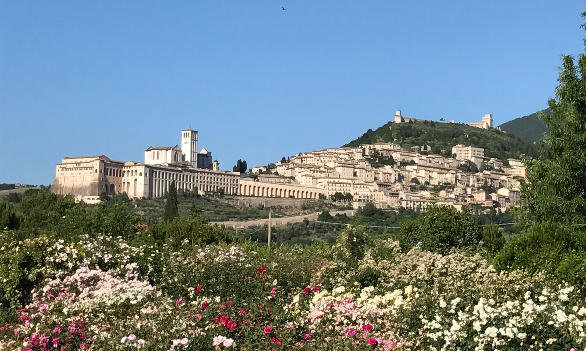 Titolo: The well-being of culture and places of beauty in Umbria