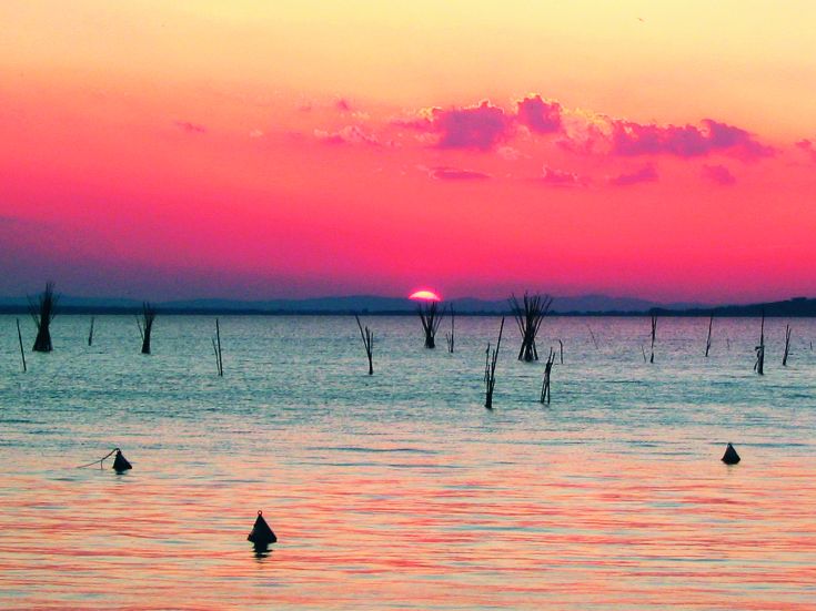 Un tramonto sul lago con riflessi di colore rosa e arancione sull'acqua, arricchito da rami e boe galleggianti.