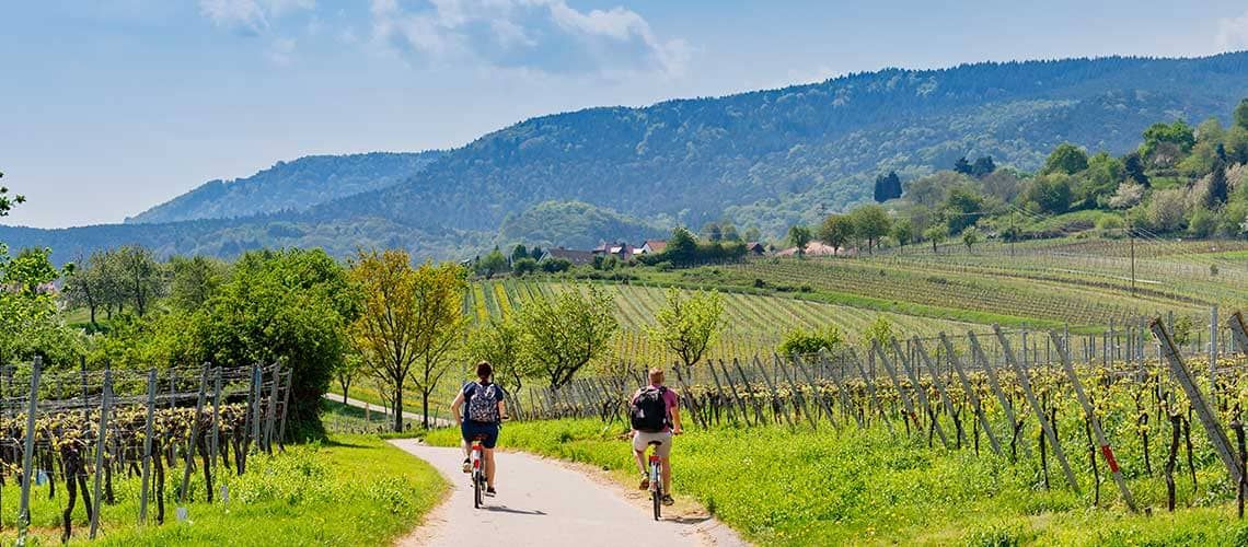 Due ciclisti pedalano lungo un percorso tra i vigneti, circondati da colline verdi e un cielo sereno.