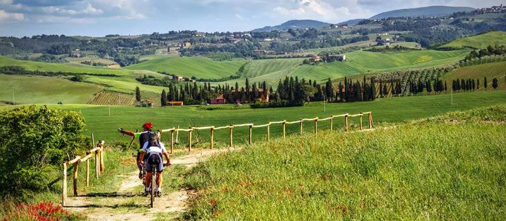 Un gruppo di ciclisti percorre una tranquilla strada circondata da un paesaggio collinare verde e rigoglioso.