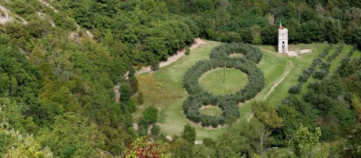 Vacanza natura per famiglie 5 giorni: Visita al Bosco di San Francesco, bene FAI. Tutto natura per famiglie - Umbria my love - Panorama di un oliveto circolare circondato dalla natura con una torre campanaria sullo sfondo.
