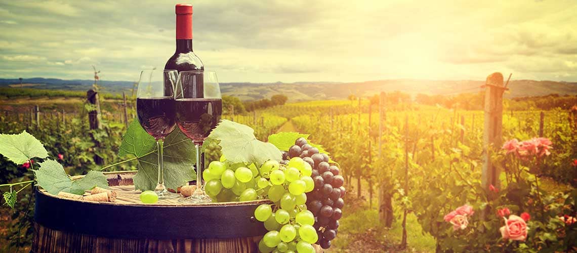 Un bicchiere di vino rosso e grappoli d'uva su una botte, in un paesaggio di vigneto soleggiato.