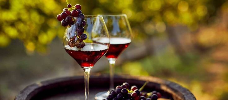 Due calici di vino rosso accompagnati da grappoli d'uva, immersi in un ambiente sereno.