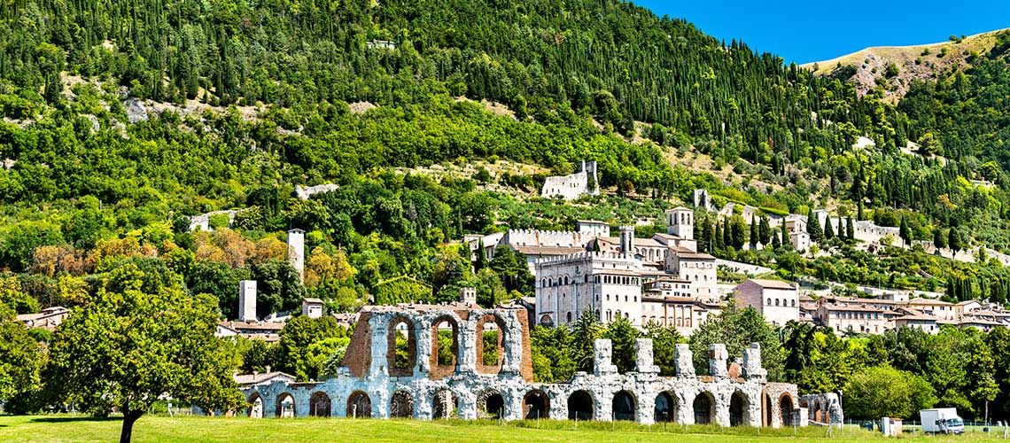 Un'area caratterizzata da rovine storiche incastonate in un ambiente di natura rigogliosa.