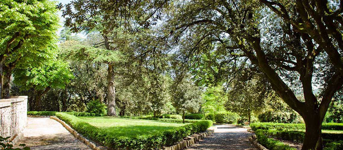 Un giardino umbro, immerso nella natura e nella tranquillità, con piante verdi e un'atmosfera serena.