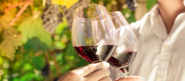 Due calici di vino rosso si toccano in un brindisi, circondati dalla piacevole natura umbra.