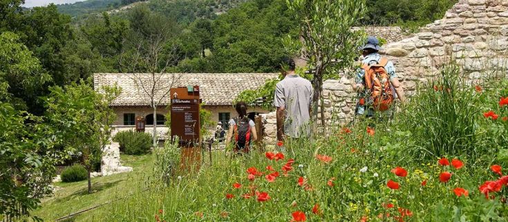 Un gruppo di escursionisti percorre i sentieri tra il verde della natura umbra, circondati da fiori rossi e un panorama suggestivo.