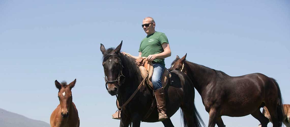 Un uomo su un cavallo, circondato da altri cavalli in un ambiente tranquillo.